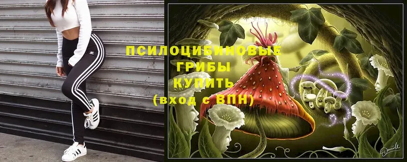 Купить закладку Пролетарск Канабис  Мефедрон  КОКАИН  Галлюциногенные грибы  ГАШИШ 